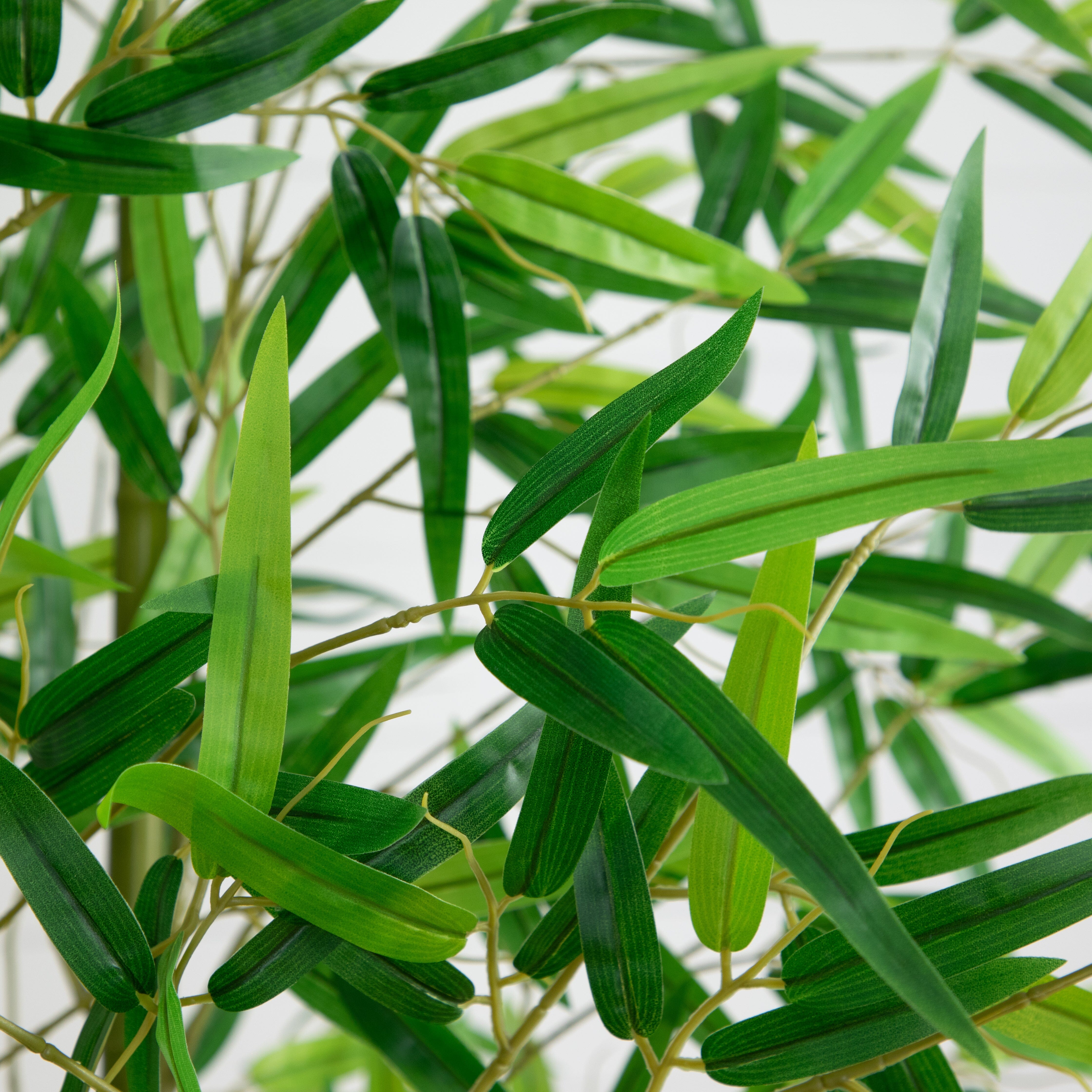 Japandi Floral & Greenery