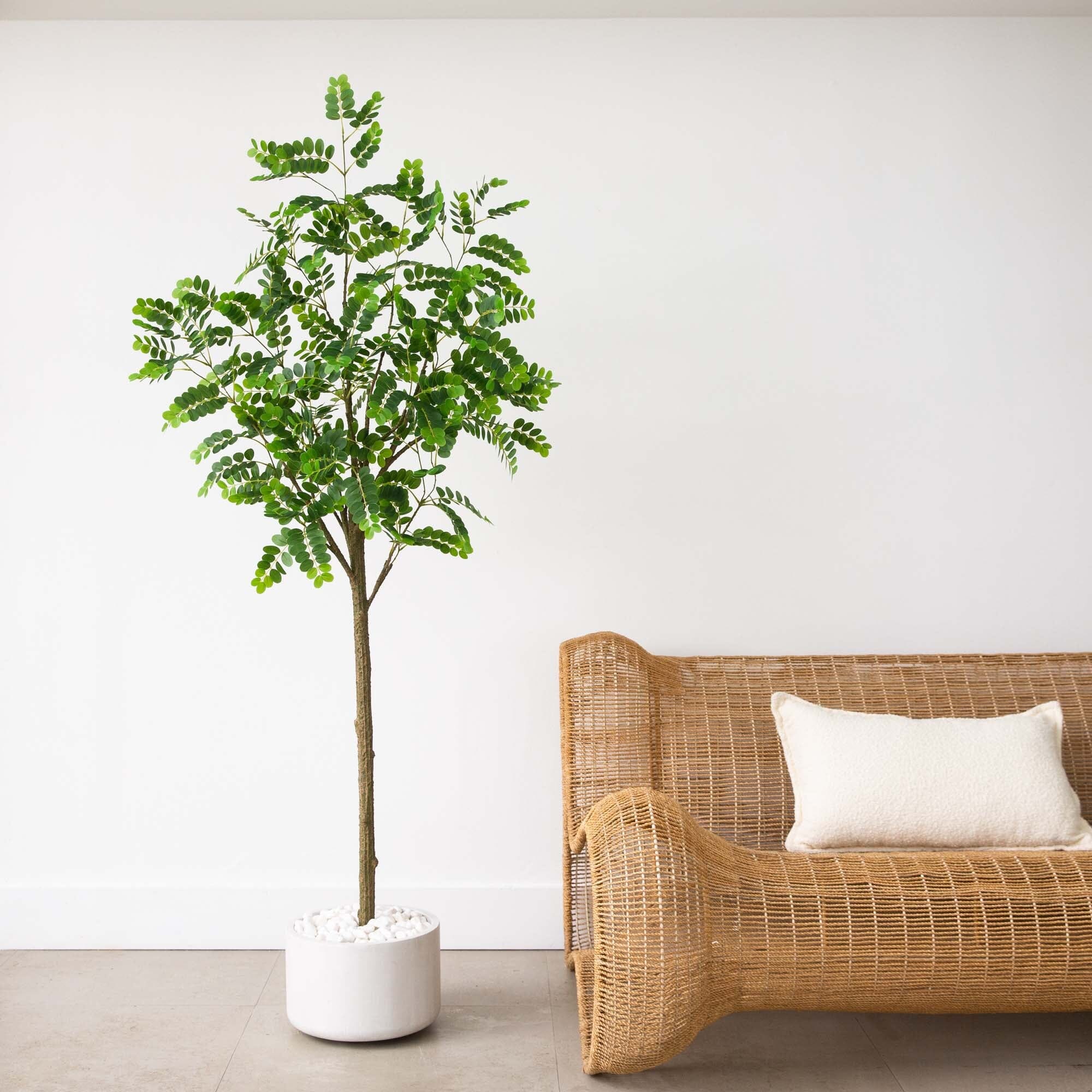Organic Modern Floral & Greenery