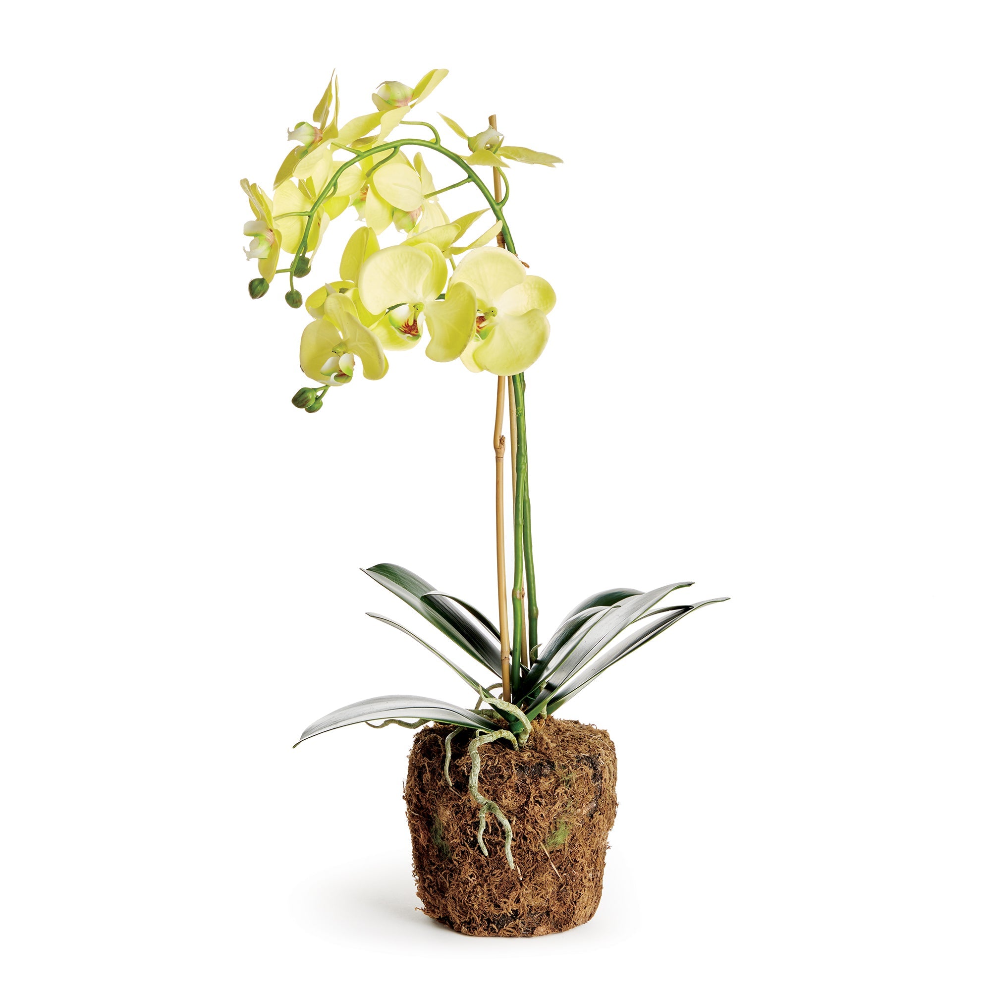 Modern Traditional Florals & Greenery
