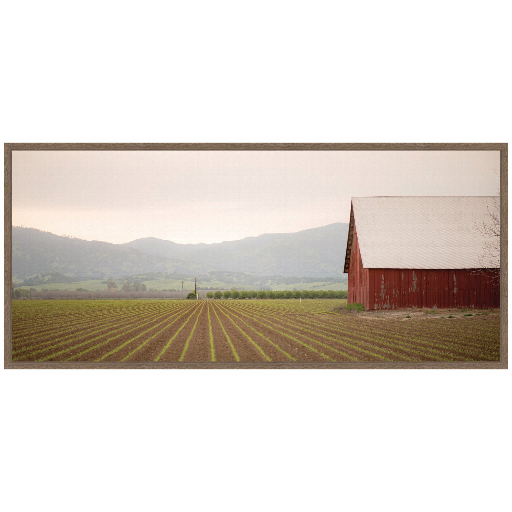 Sylvie Farm Life Framed Canvas by Crystal Lynn Collins