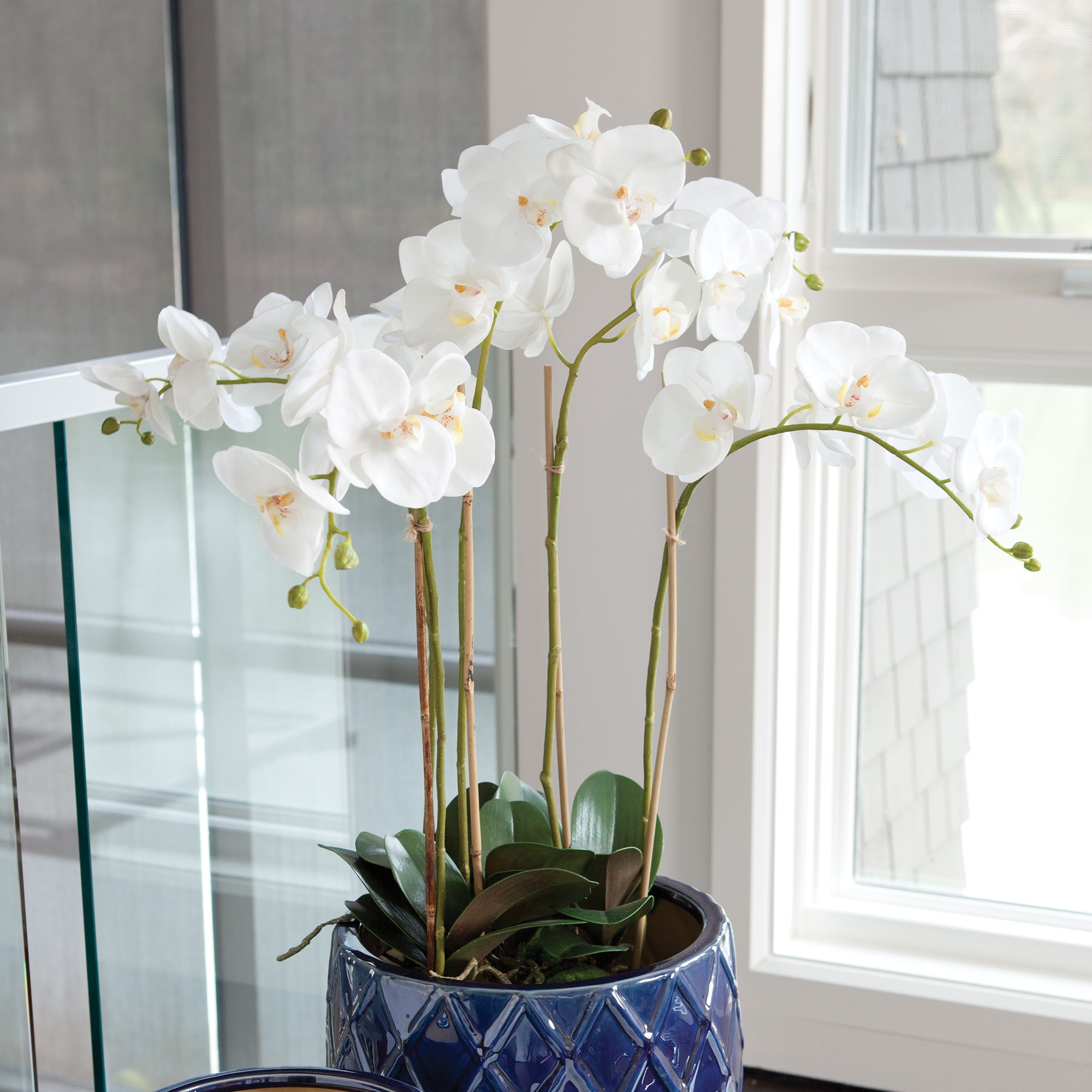 PHALAENOPSIS ORCHID BOWL DROP-IN 25"