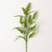 Green Amaranthus  Spray