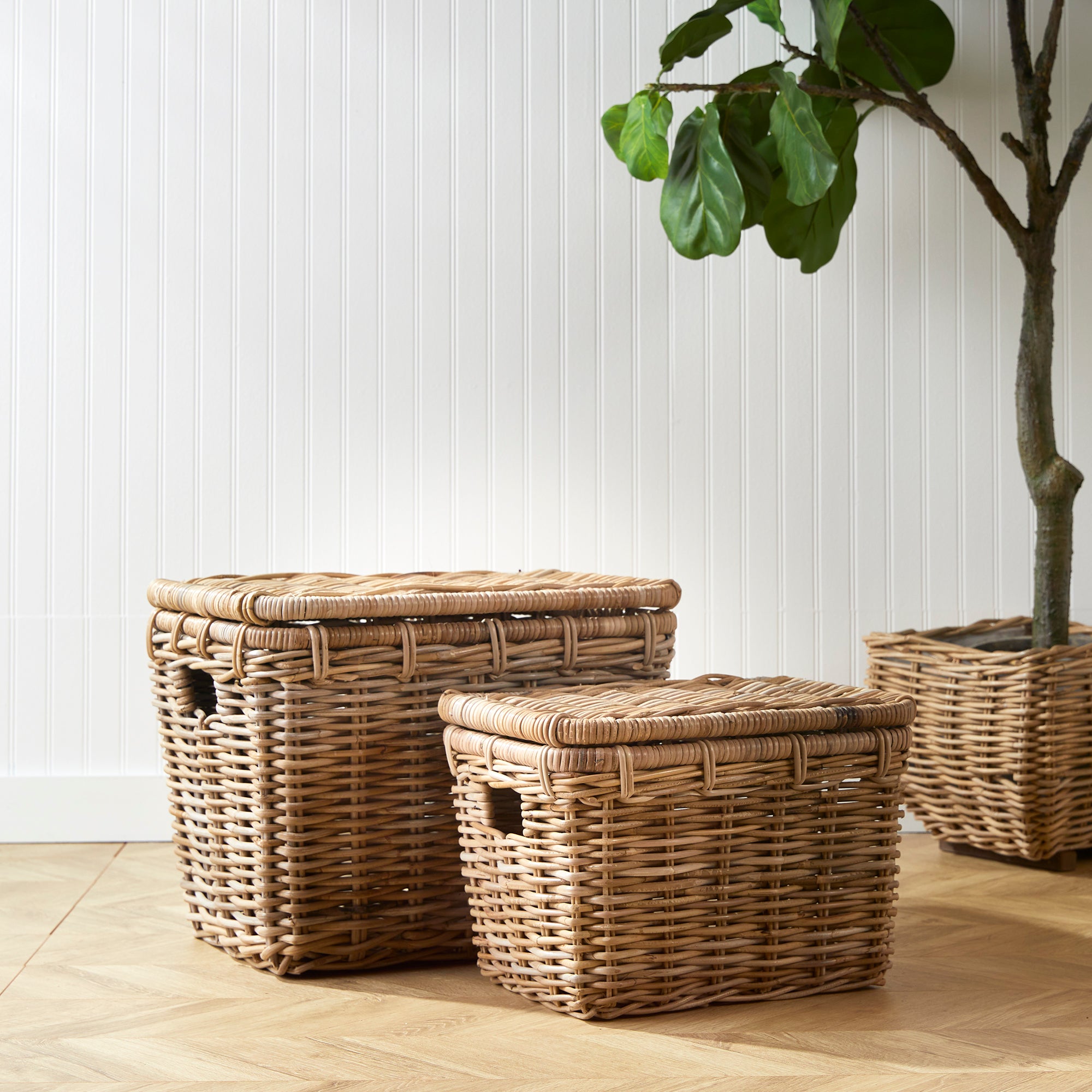 RUTHIE STORAGE TRUNKS, SET OF 2