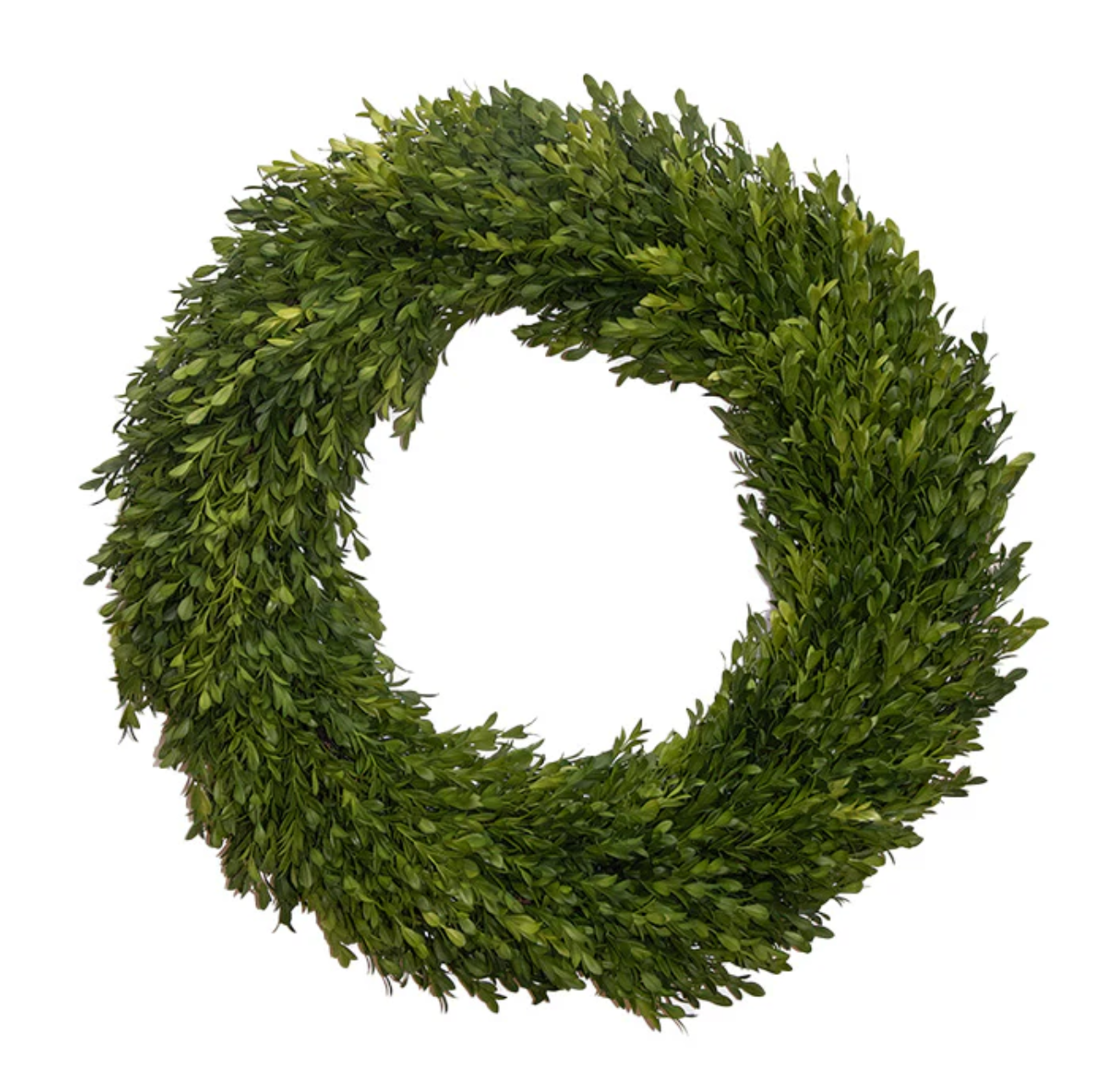 Round Boxwood Wreath  24"