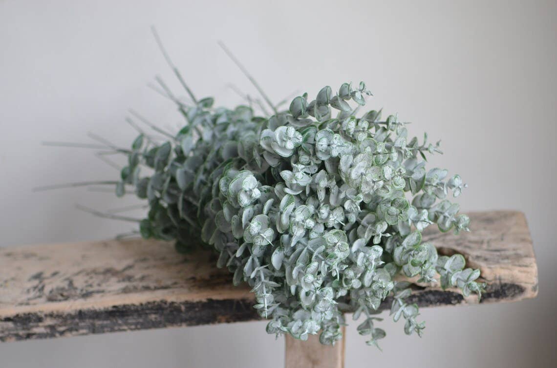 Lifelike soft touch Frosty Flocked Spiral Eucalyptus Stem: 14"