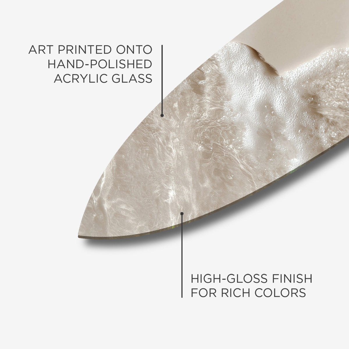 Soft Shore I Surfboard