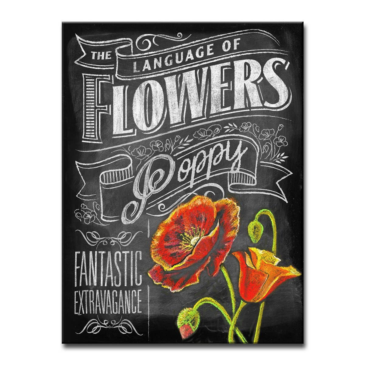Ready2HangArt Canvas Art 'LOF - Poppies' by Dorothea Taylor: 40 in. H x 30 in. W