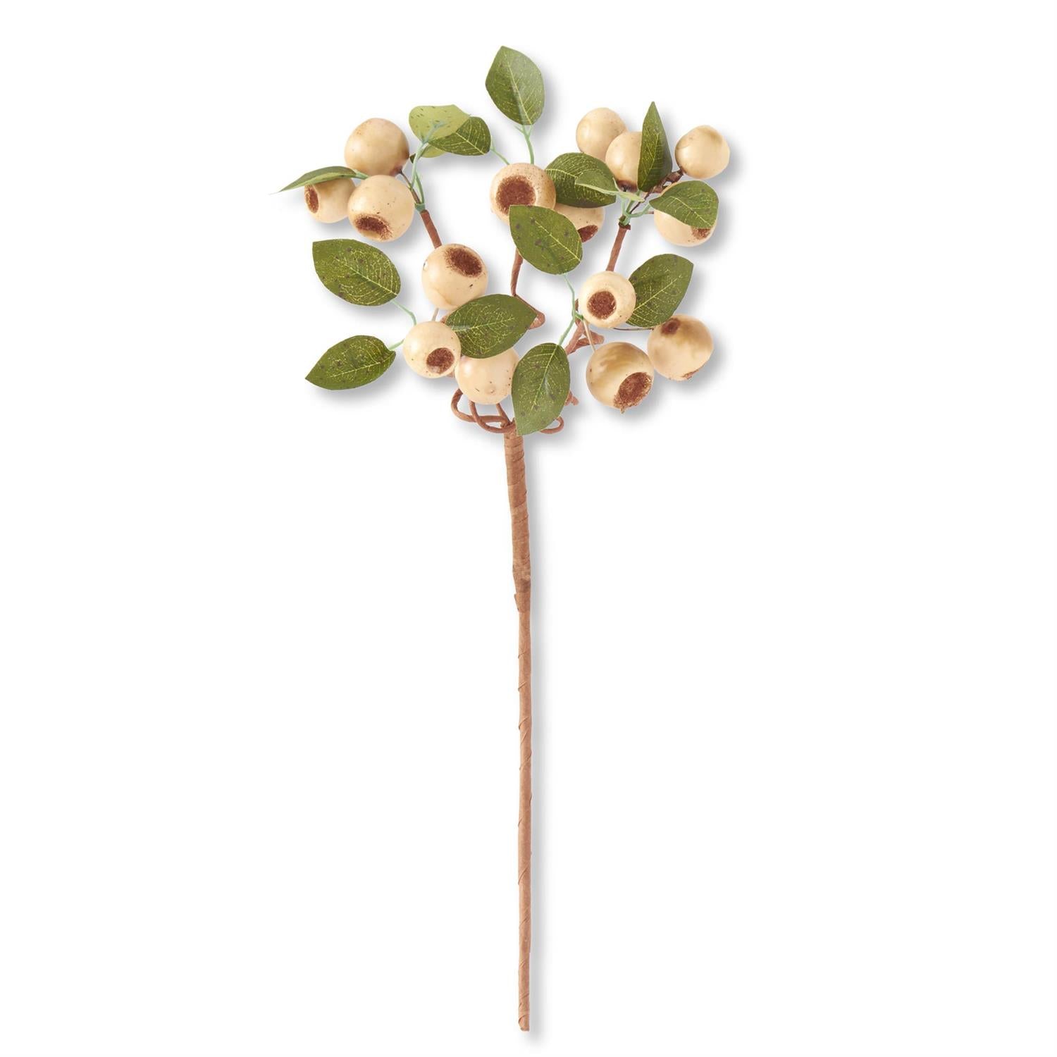 19 Inch Cream Pod Stem w/Green Leaves