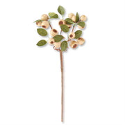 19 Inch Cream Pod Stem w/Green Leaves