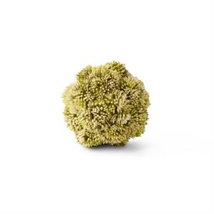 4 Inch Sedum Ball