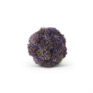 4 Inch Sedum Ball