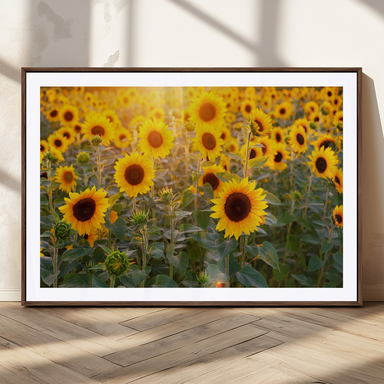 Sunflower Sunshine Wall Art Canvas Print
