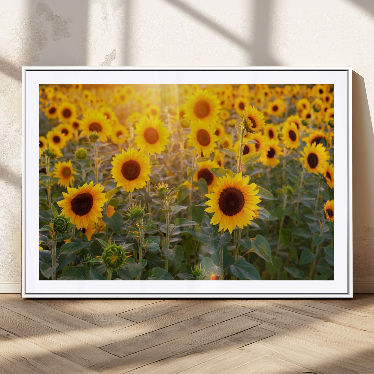 Sunflower Sunshine Wall Art Canvas Print