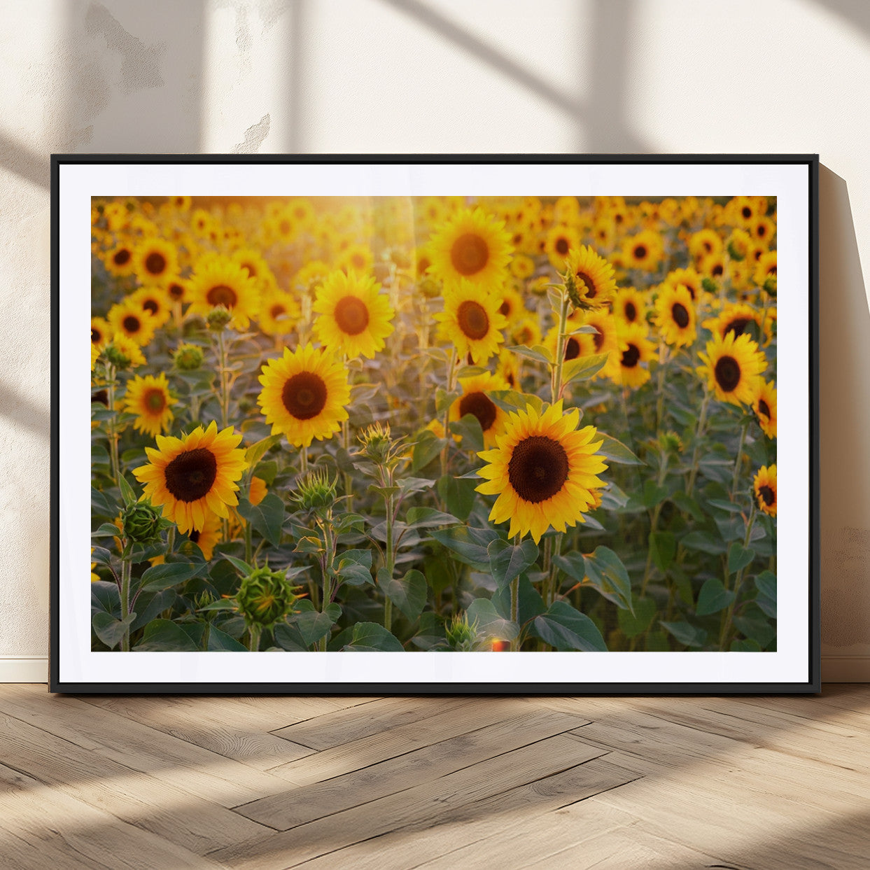 Sunflower Sunshine Wall Art Canvas Print