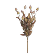 Burgundy and Green Sleepy Silene Eva Bush - 24 Inch