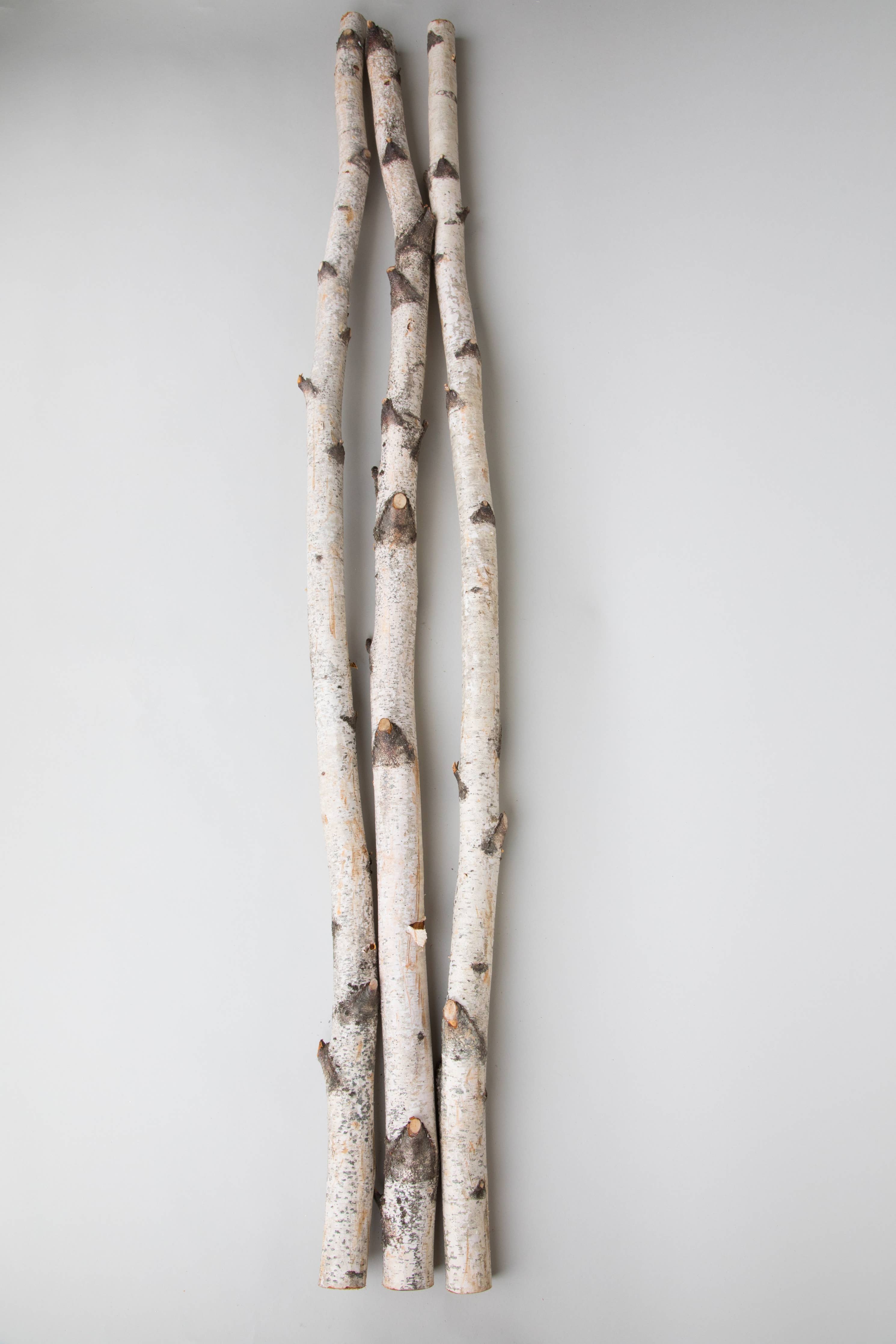 Natural 4 Foot Birch Poles