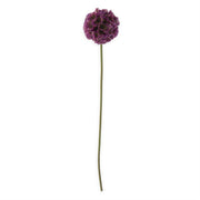 22 Inch Dark Purple Scabiosa Pod Stem