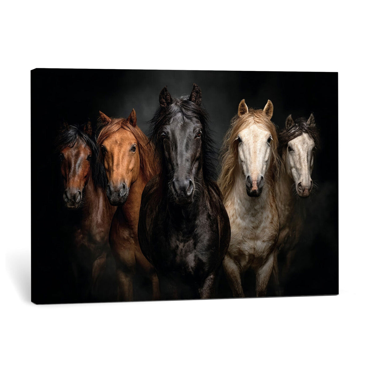 Horse Wall Art Canvas Print, Wild Horses Portrait Photography,