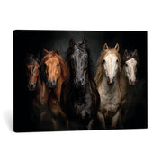 Horse Wall Art Canvas Print, Wild Horses Portrait Photography,