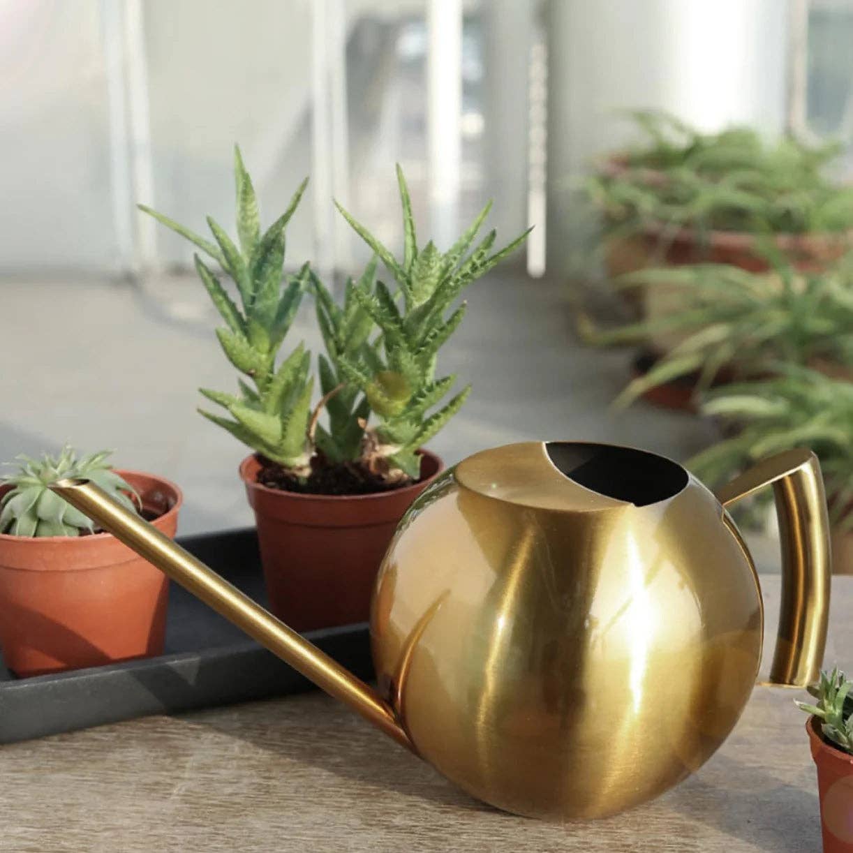 Minimalist Plant Watering Can: Gold