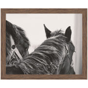 Black Horses by Emiko and Mark Franzen F2 Images Framed Wall Art Print
