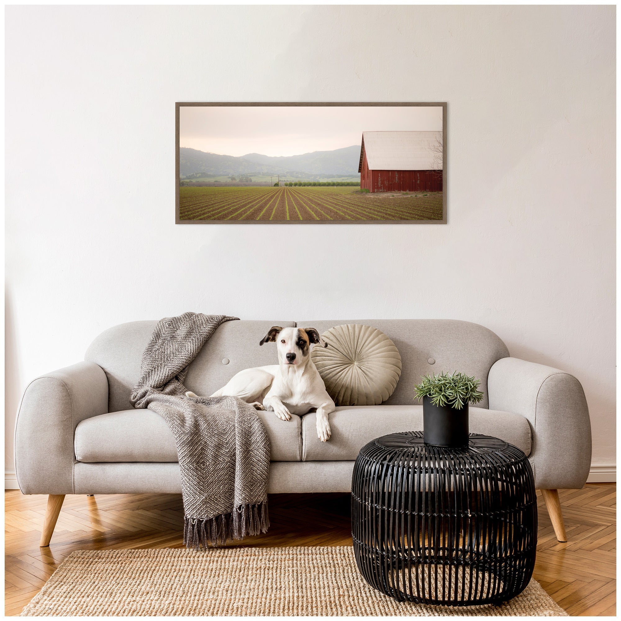 Sylvie Farm Life Framed Canvas by Crystal Lynn Collins