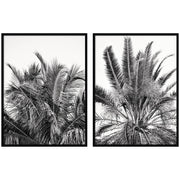 Palm No. 13 & 15 2 Piece Framed Wall Art Print Set by Alicia Bock