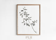 Branch Art Print 5"x7" - Frame Option