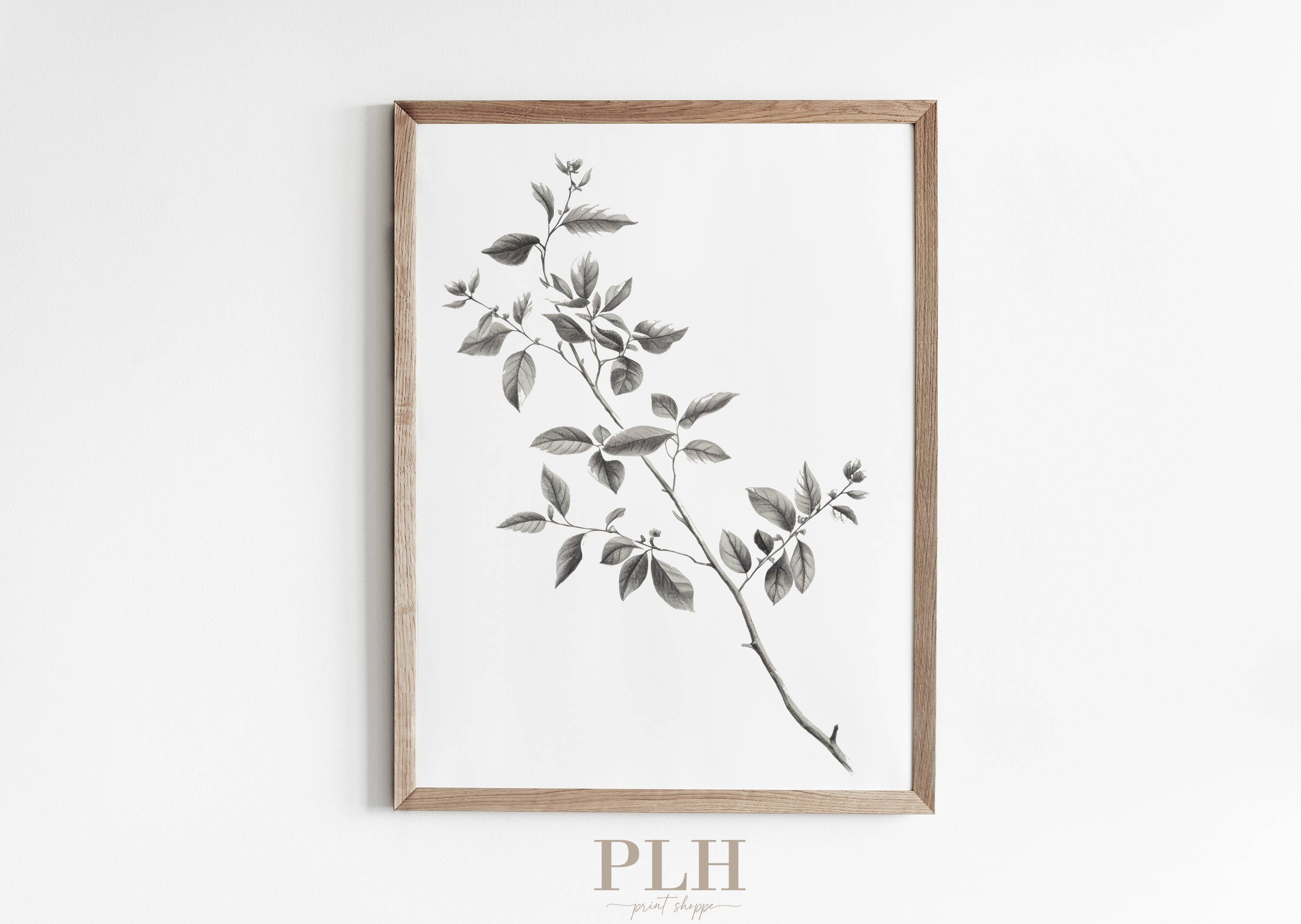 Branch Art Print 5"x7" - Frame Option