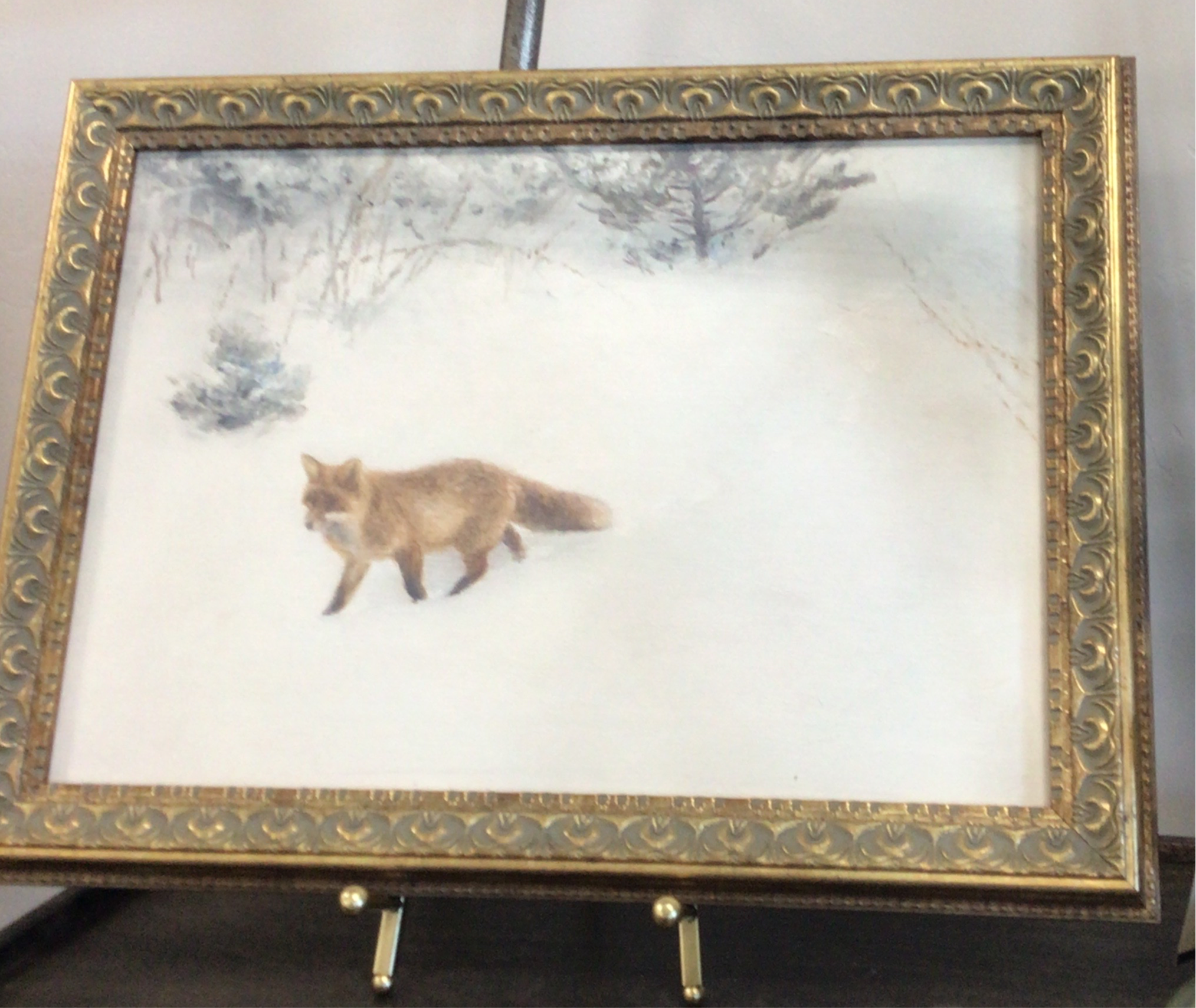 Fox In Winter Picture 16x12