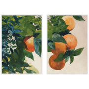 Oranges on a Branch 2 Piece Framed Canvas Wall Art Set by Nostalgia Prints