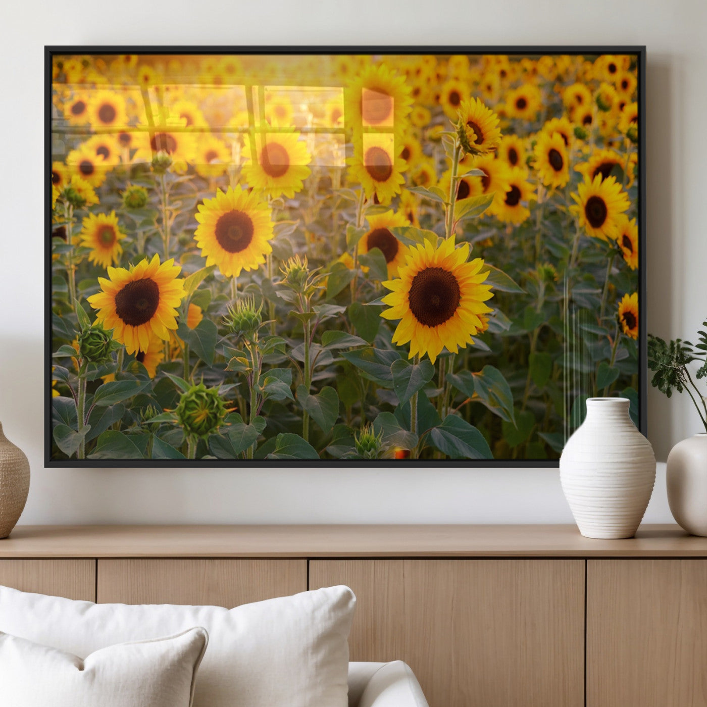 Sunflower Sunshine Wall Art Canvas Print