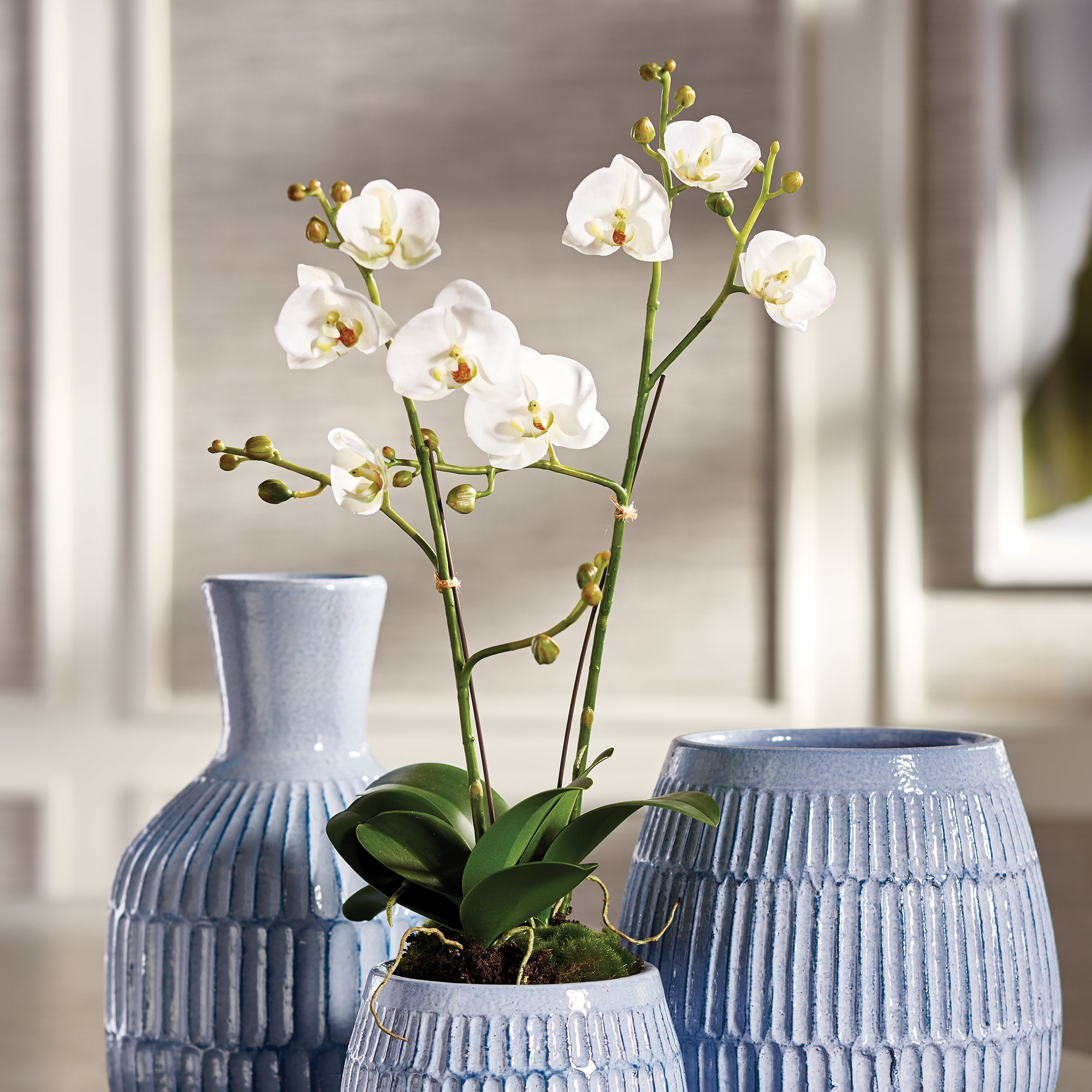 PHALAENOPSIS X 2 DROP-IN 23"