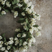 24" CREAM HOPS WREATH
