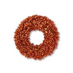 Orange Preserved Boxwood Wreaths - 3 Sizes
