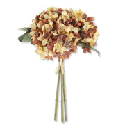 13 Inch Yellow & Brown Hydrangea Bundle (3 Stems)