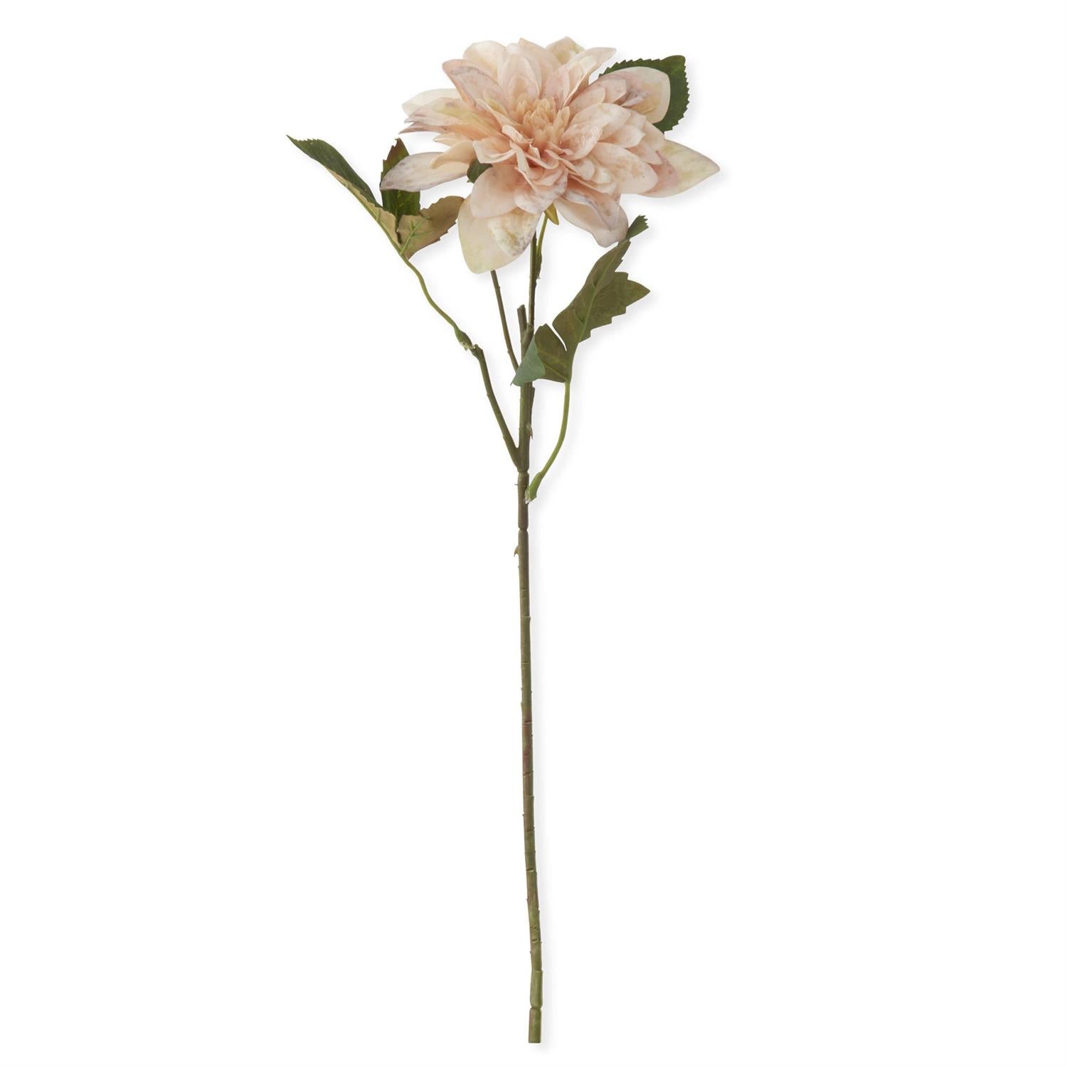 16 Inch Cream Real Touch Dahlia Stem