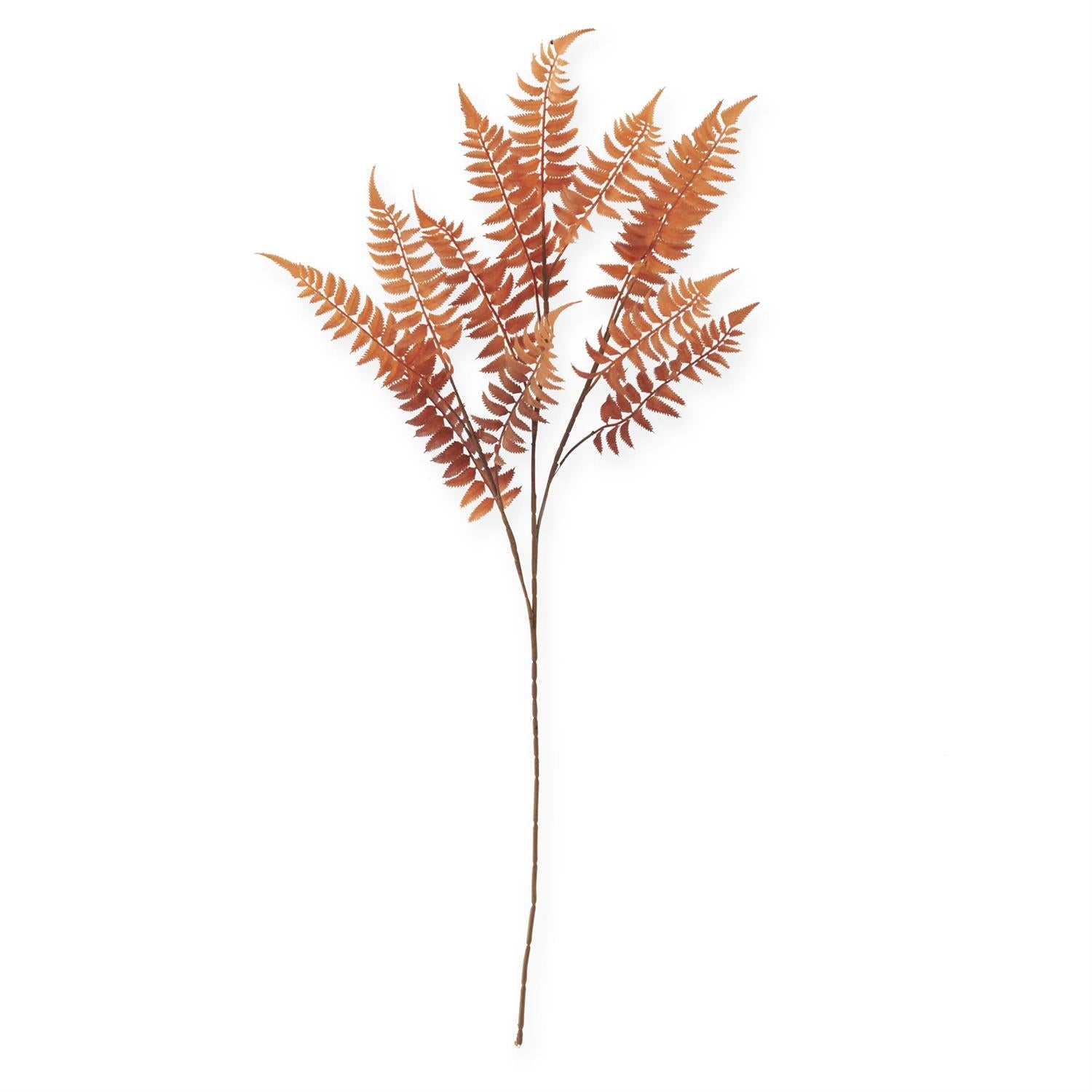39 Inch Orange w/Brown Speckles Lady Fern Spray
