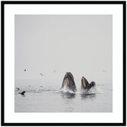 Humpback Whales No. 2 by Laura Evans Framed Wall Art Print