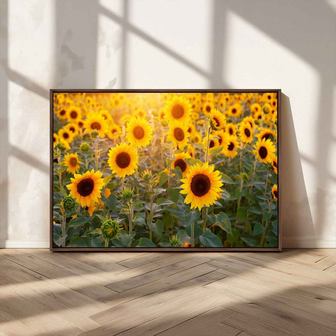 Sunflower Sunshine Wall Art Canvas Print