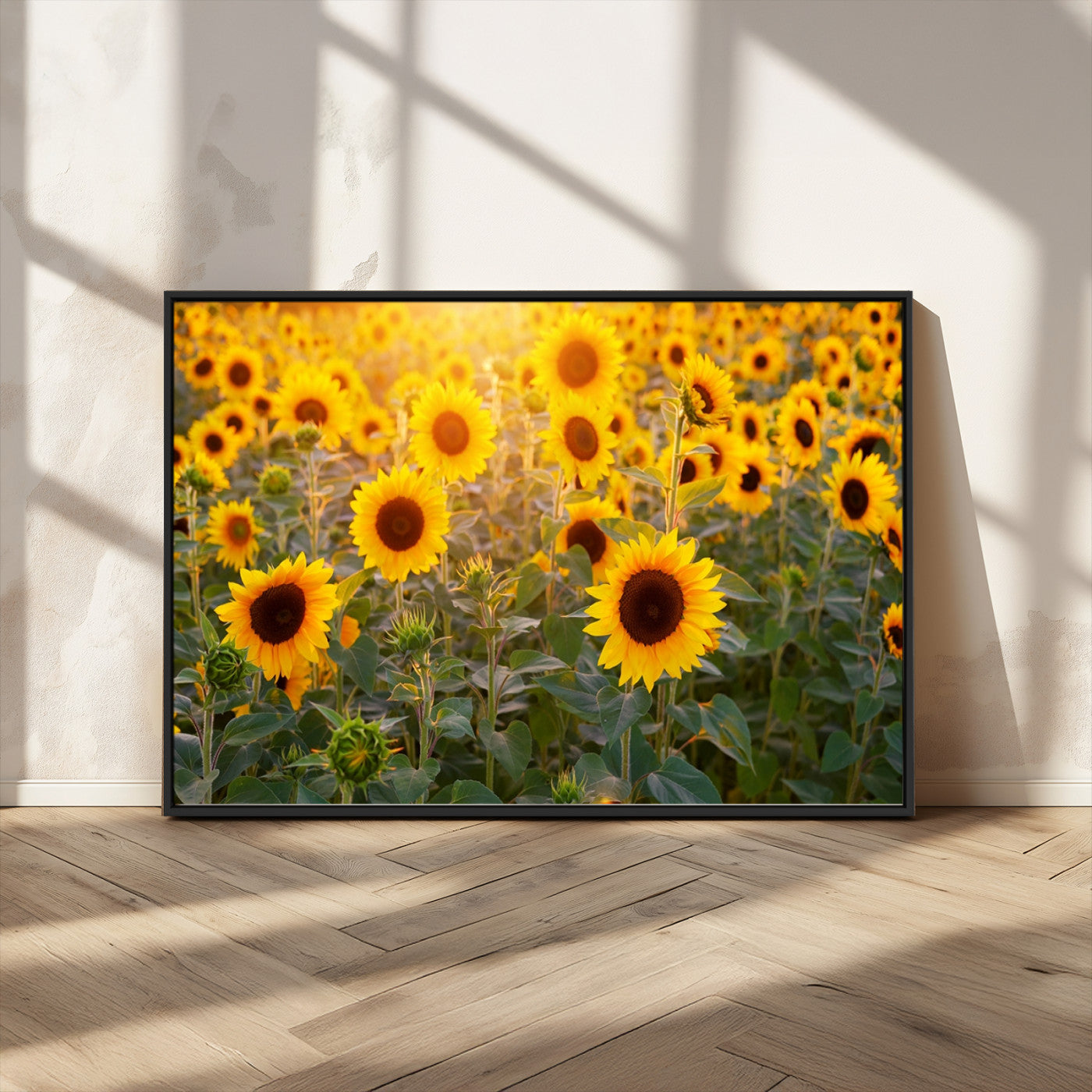 Sunflower Sunshine Wall Art Canvas Print