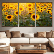 Sunflower Sunshine Wall Art Canvas Print