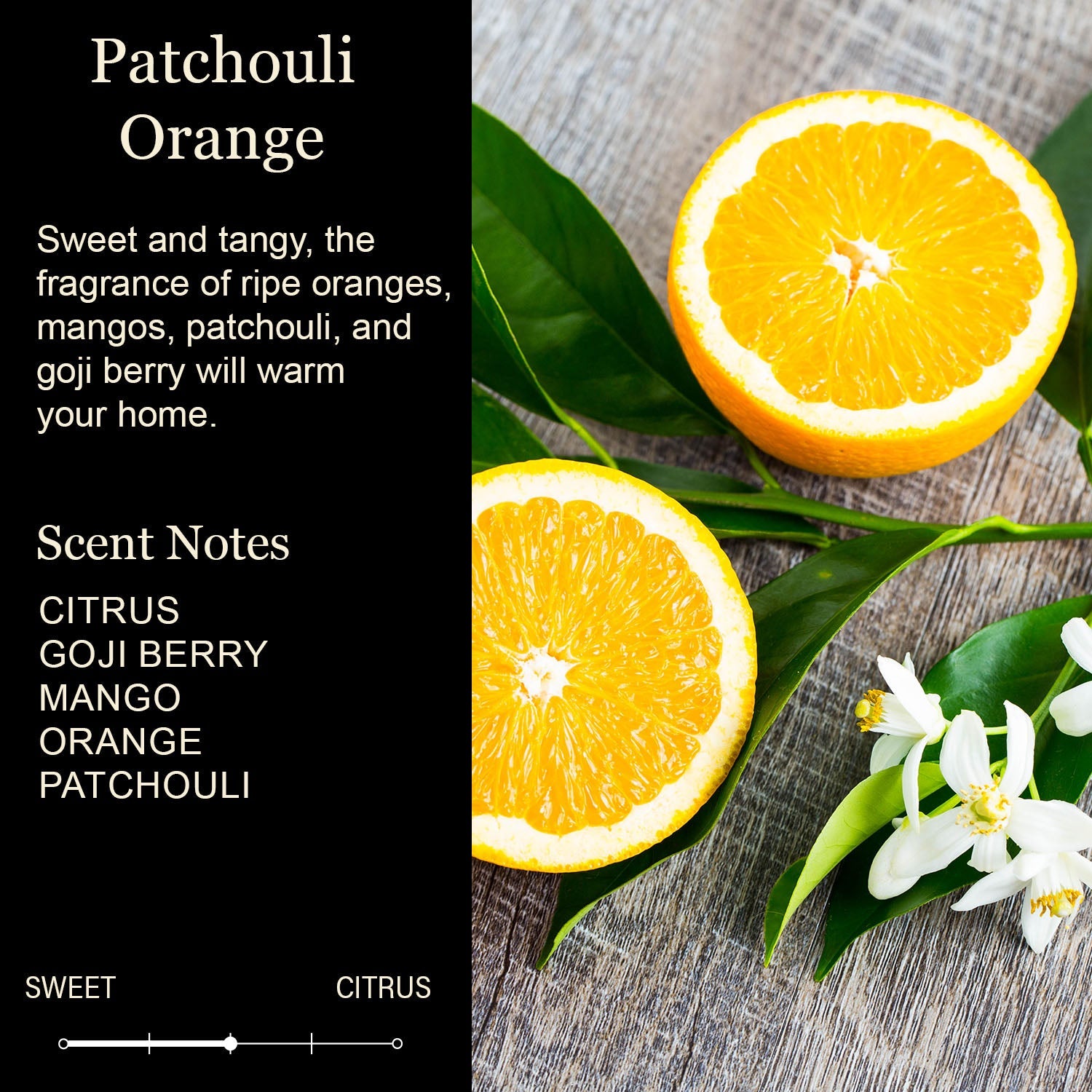 Funny Christmas Candles - Merry & Bright Golden Patchouli