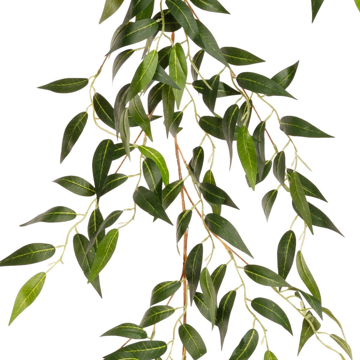 6' Ruscus Garland Green
