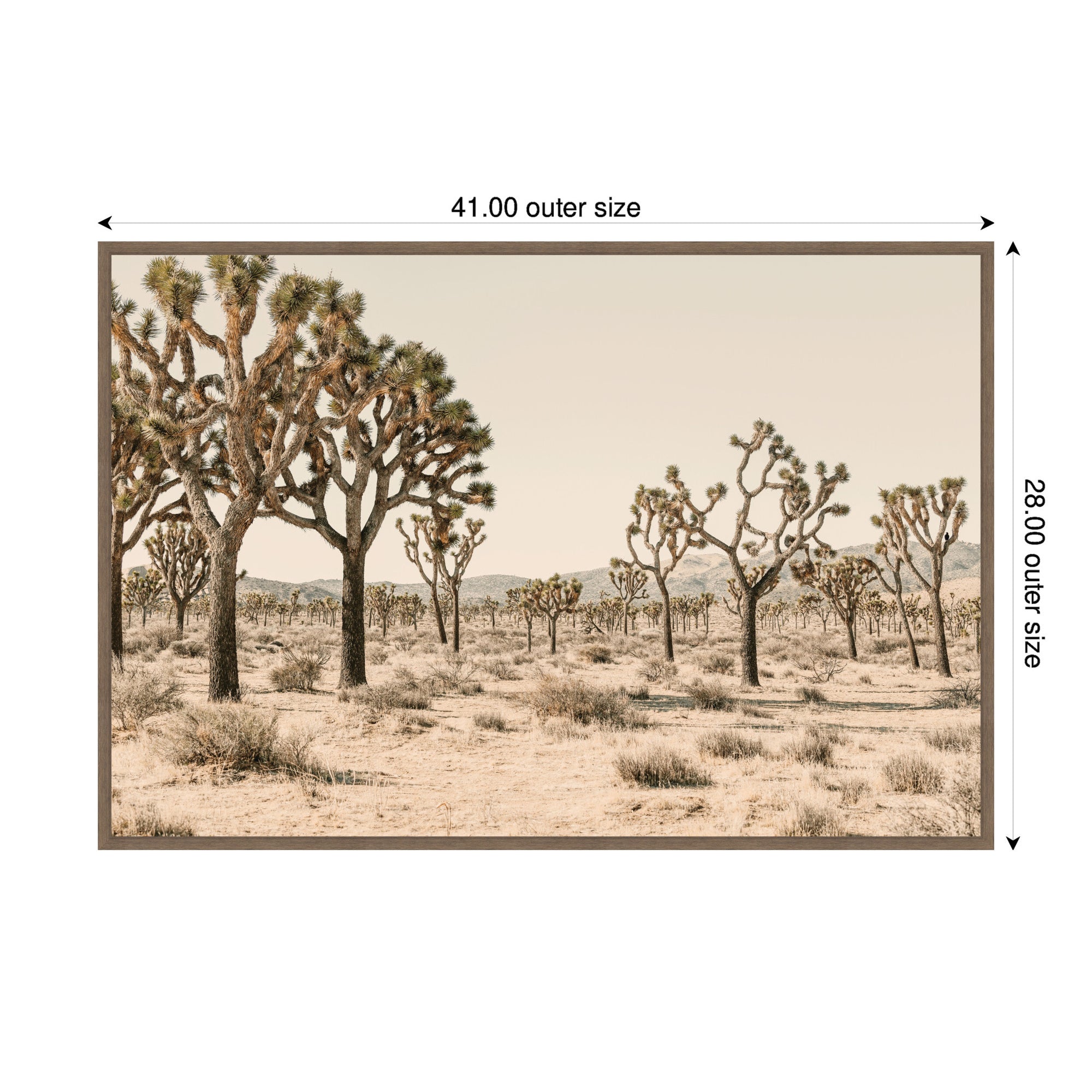 Joshua Tree No. 2 by Alicia Bock Framed Canvas Wall Art Print