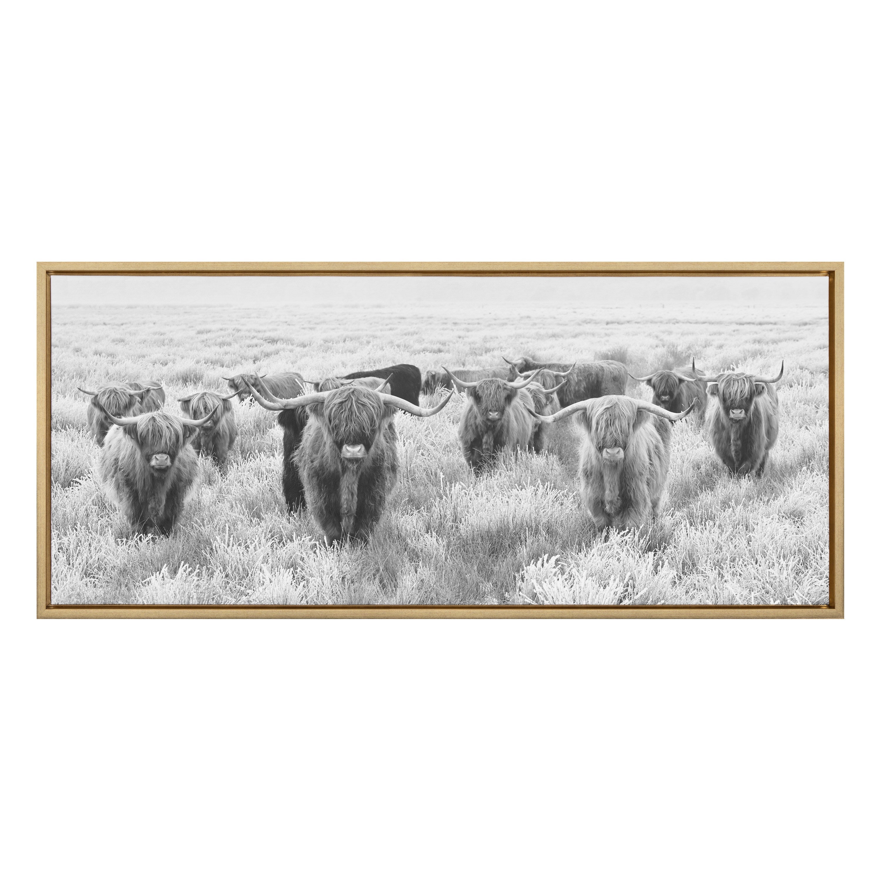 Sylvie Herd of Highland Cows Black and White Framed Canvas by The Creative Bunch Studio
