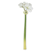 White Amaryllis Stem - 31.5 Inch