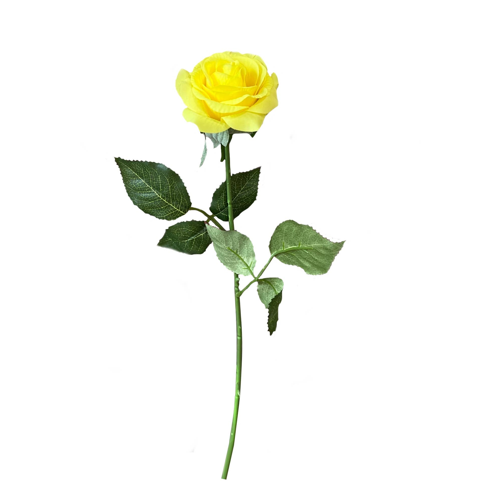 Pack of 48 stems-real touch rose: Stark White
