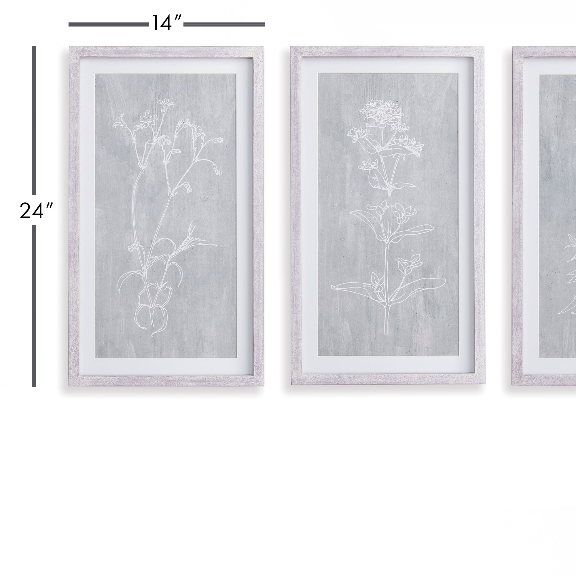 SKETCHED BOTANICAL PRINTS, SET OF 3