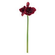 Real Touch Burgundy Amaryllis Stem - 28 Inch